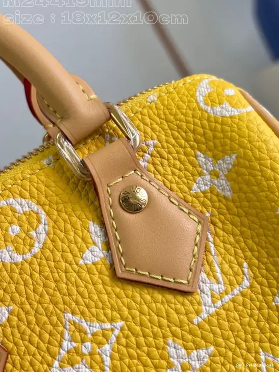 AAA Pruses Bags LOUIS 18 VUITTON SPEEDY 0629